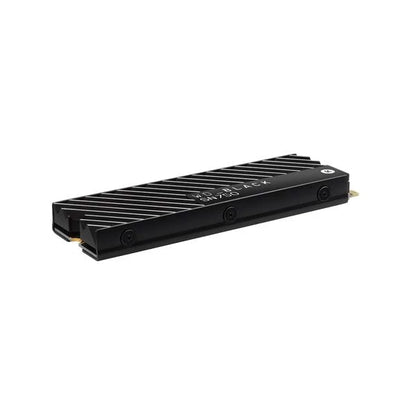 Western Digital SN750 1TB M.2 NVMe Internal Solid State Drive with Heatsink - Black